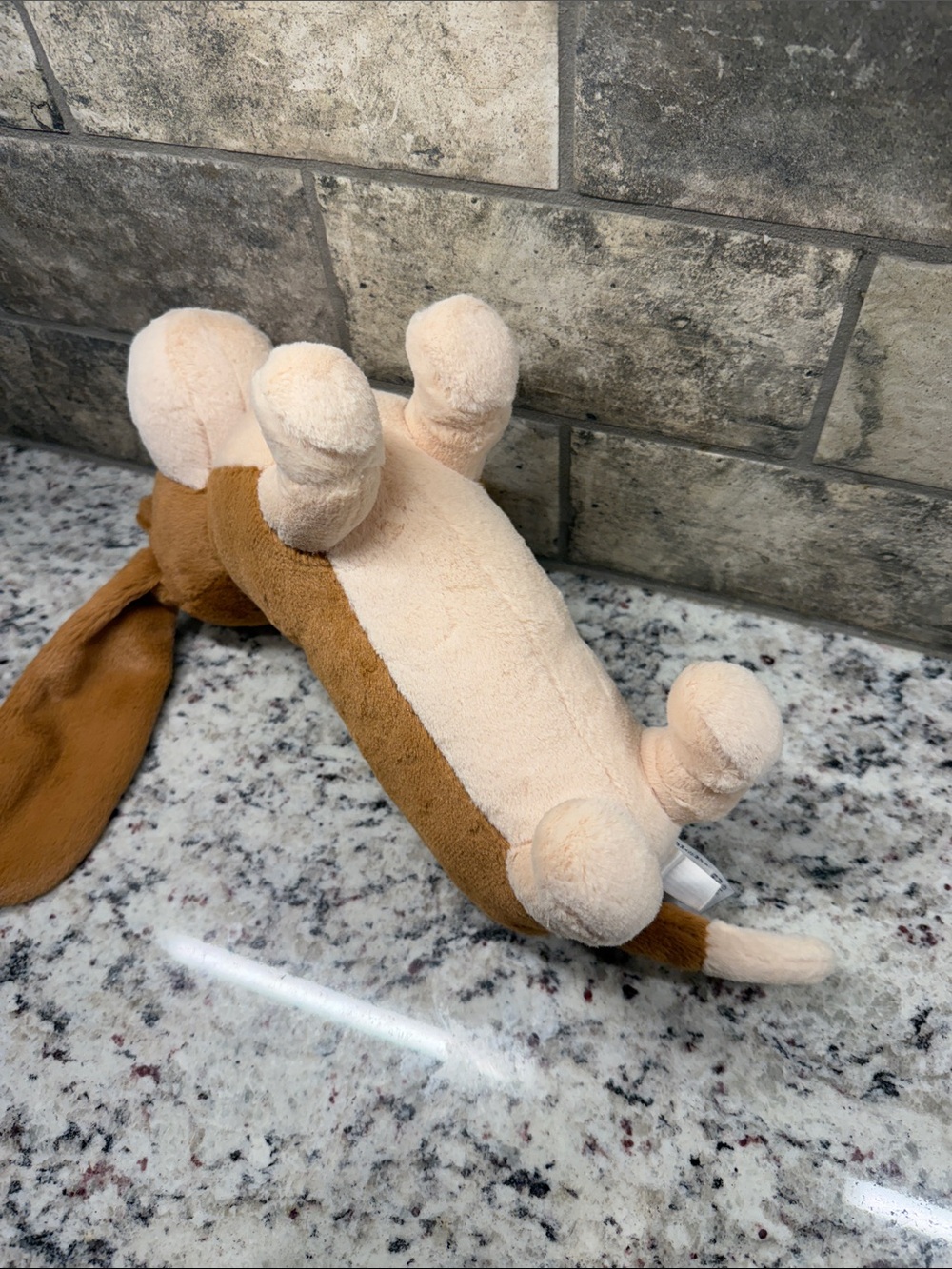 Jellycat Randall Basset Hound - Picture 9 of 9